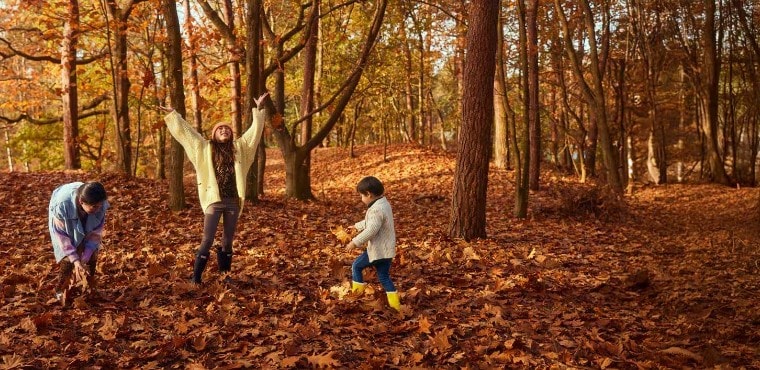 Visuel enfants jetant des feuilles 760x370 gauche