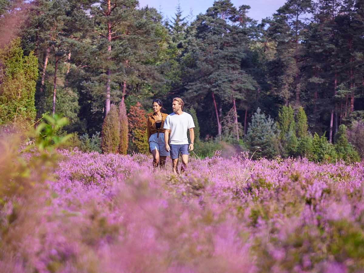 Suivez votre nature