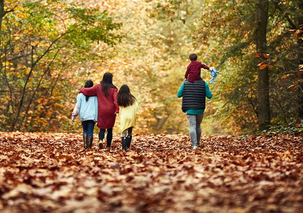 Autumn Colours