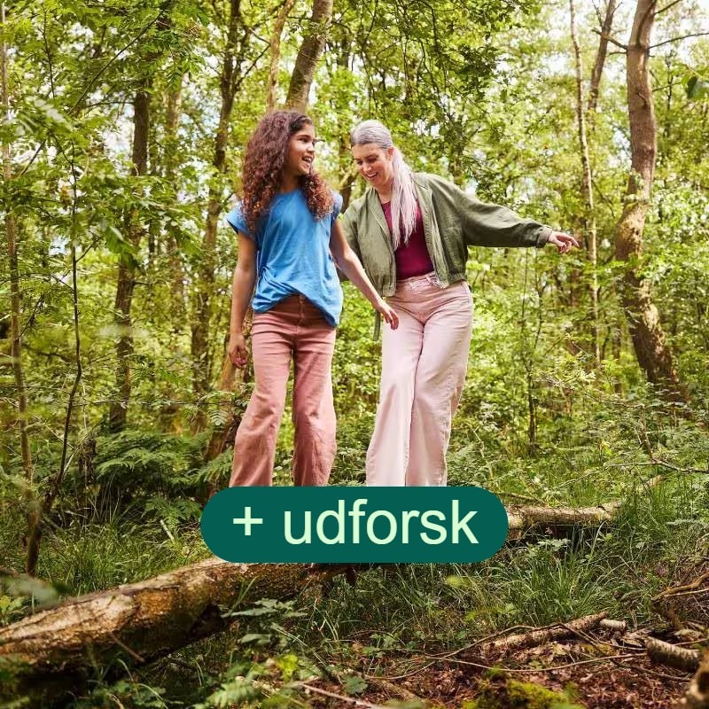 Udforsk de unikke landskaber, som hver park tilbyder