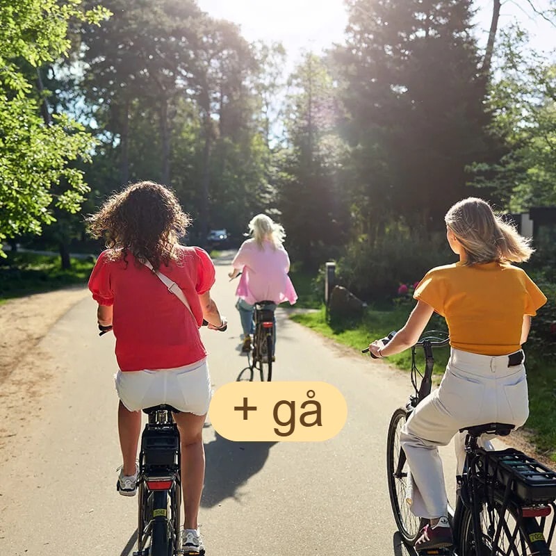 Tag på gå- eller cykelture i de solfyldte omgivelser