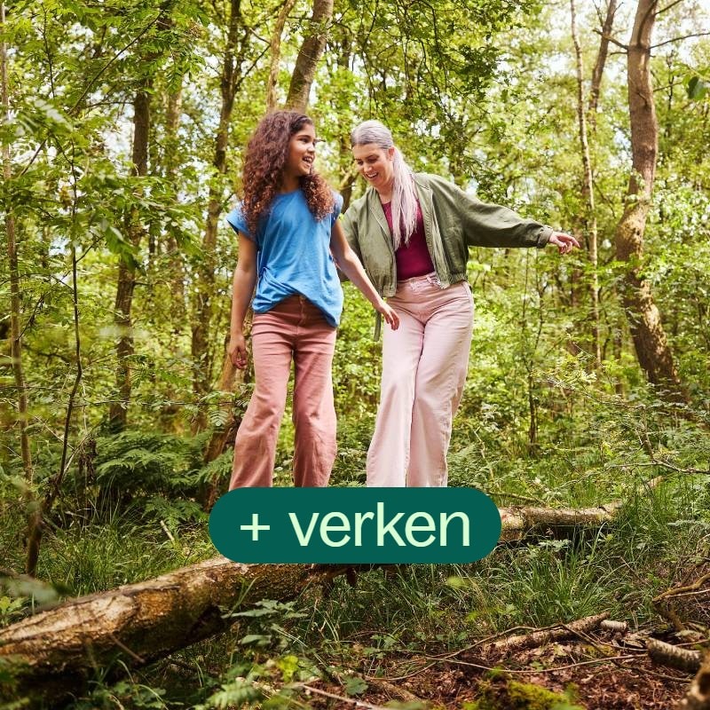 Verken het unieke landschap dat elk park te bieden heeft
