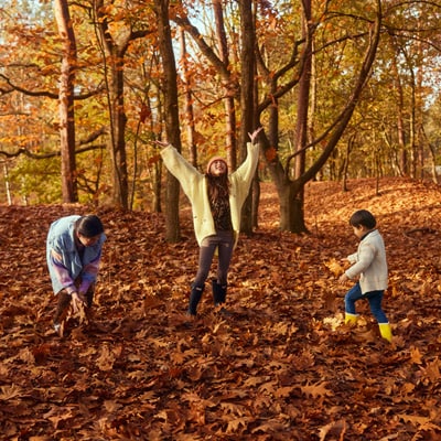 Goldener Herbst