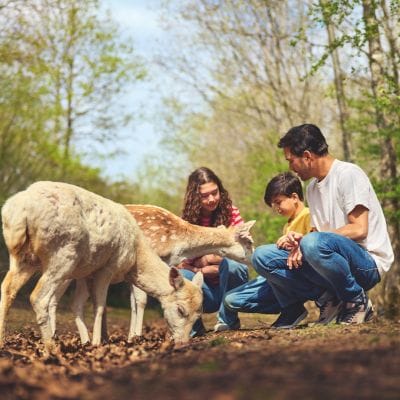 Jeu concours 100% gagnant