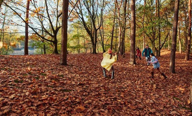Visuel famille dans la nature automnale