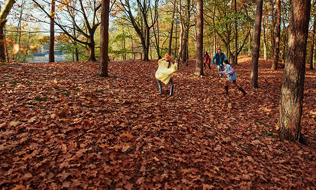 Visuel famille dans la nature automnale
