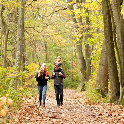 Herbst(ferien)-Special