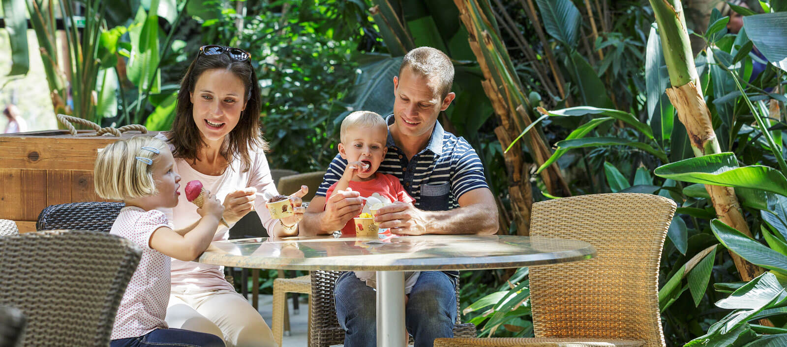 Market Dome in neuem Gewand - Park Nordseeküste