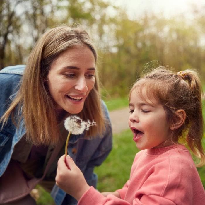 Découvrez des fleurs et des plantes colorées