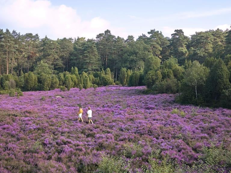 Vores tiltag for naturen omkring os