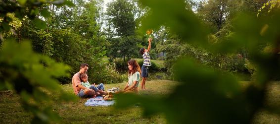 Wat te doen op het vakantiepark in Flevoland?