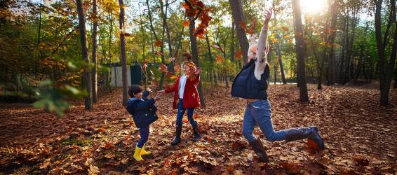 Vivez un automne haut en couleurs