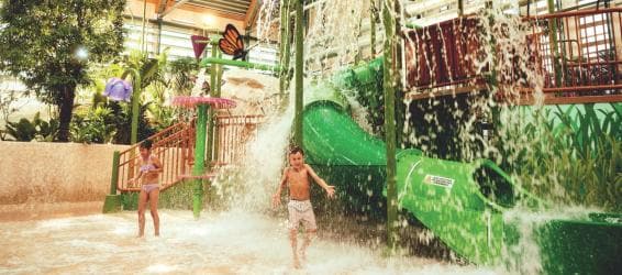 Profitez de nos offres personnalisées pour les groupes et CSE !