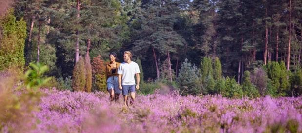 Couple dans la nature