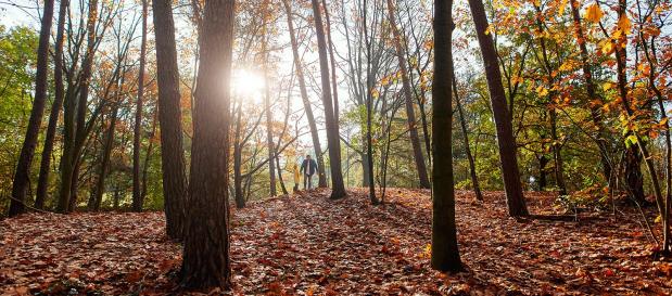 herbst