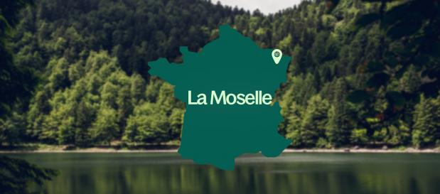 Les Trois Forêts : La Moselle