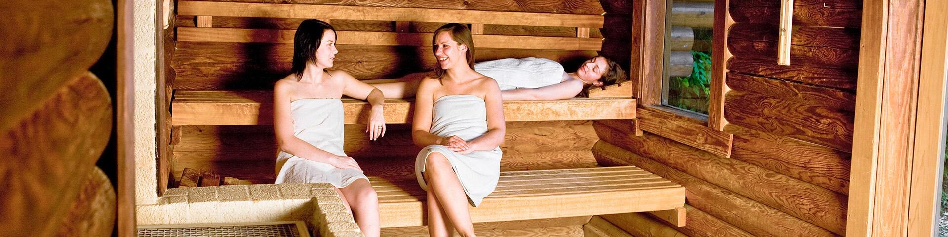Vakantiehuizen met sauna