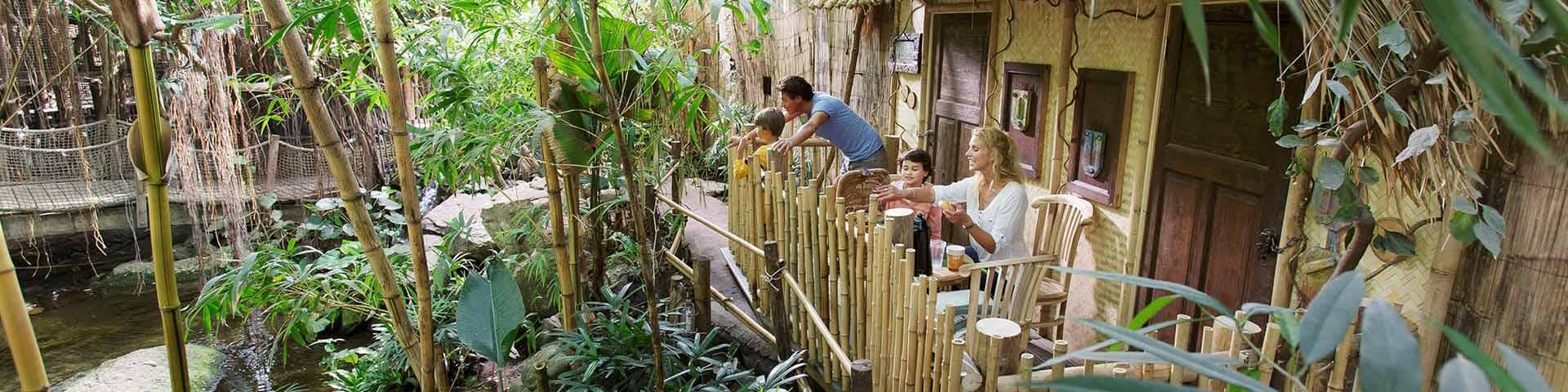 Jungle Cabana