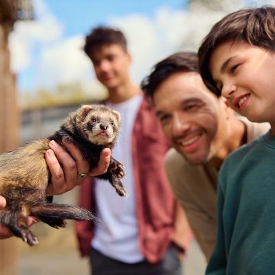 Découvrez le Cœur Animalier !