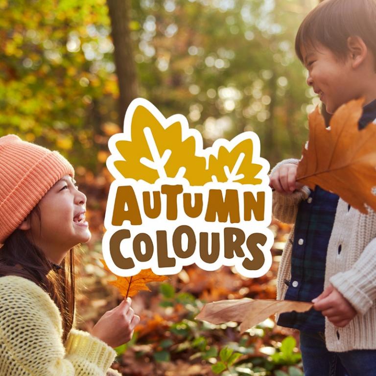 Vivez un automne haut en couleurs