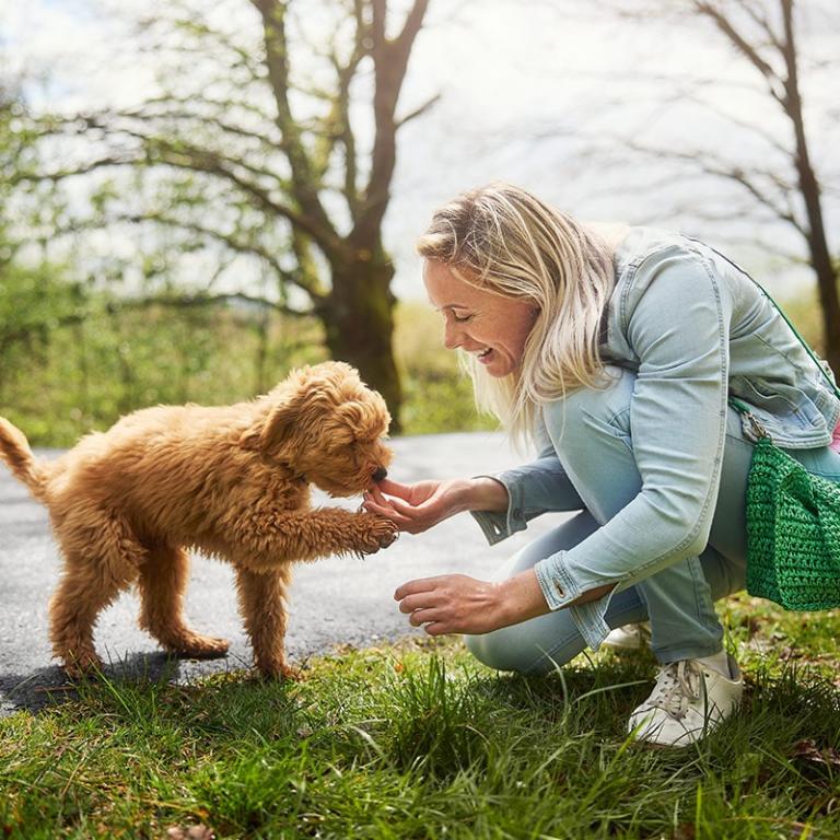 Omgeving van het vakantiepark in Saarland ontdekken