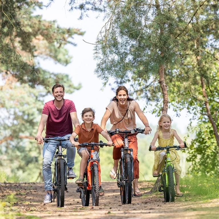 Discover the Kempen Region: Top Attractions Nearby