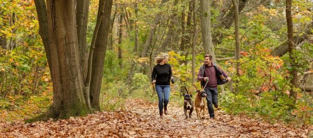 Verken de kust en de bossen met je hond