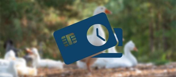 Wie funktioniert die Option „Später bezahlen ohne Kosten“?