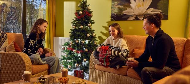 Vacances de Noël