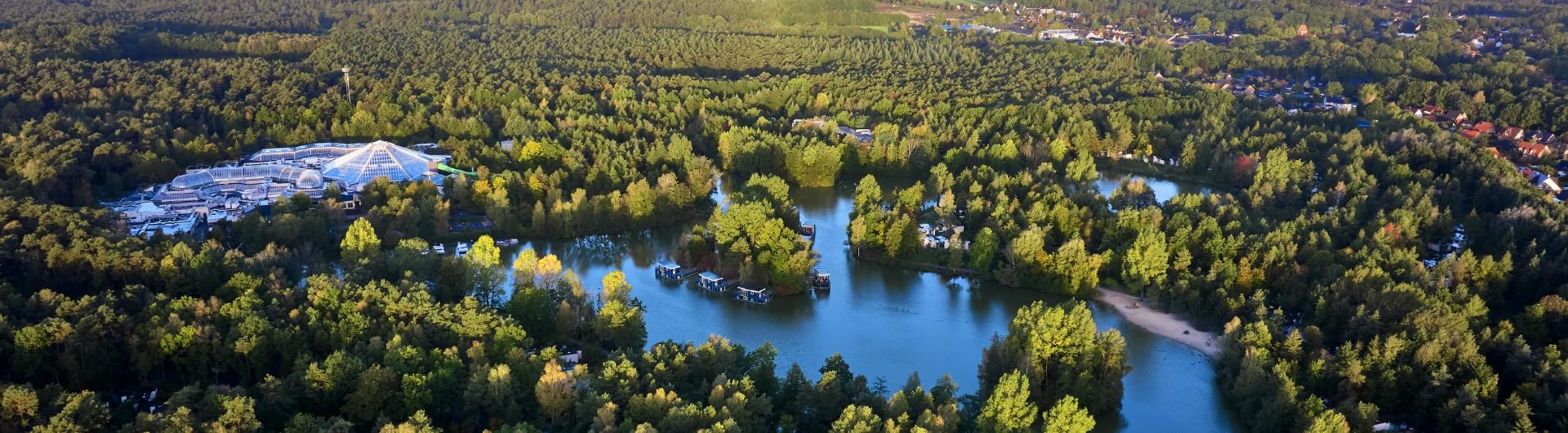 Bispinger Heide