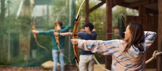 Incentives & team building