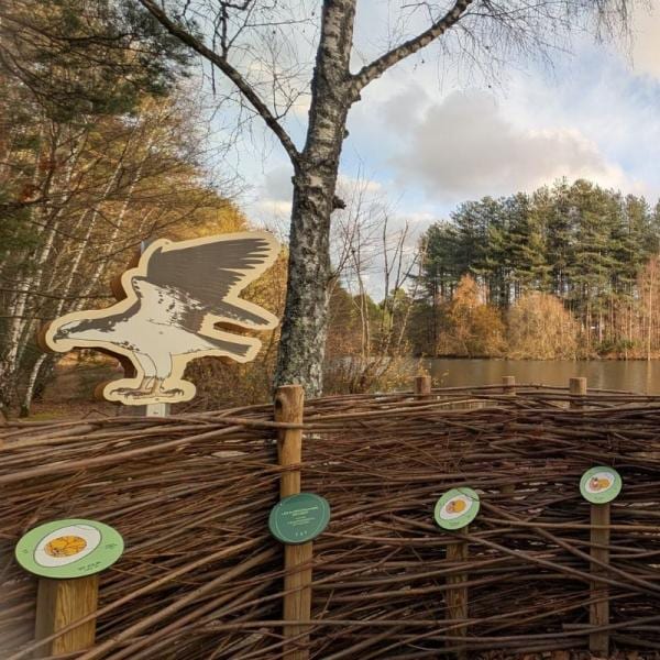 Nature trail guidé par un ranger au sein du parc, pour découvrir la biodiversité de la Sologne