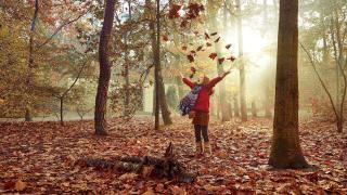 Herfst bij Center Parcs