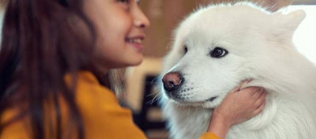 vakantie met hond in Frankrijk