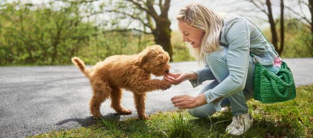 Urlaub mit Hund in Süddeutschland