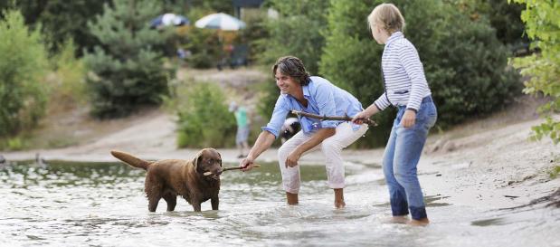 huisje huren met hond in Nederland