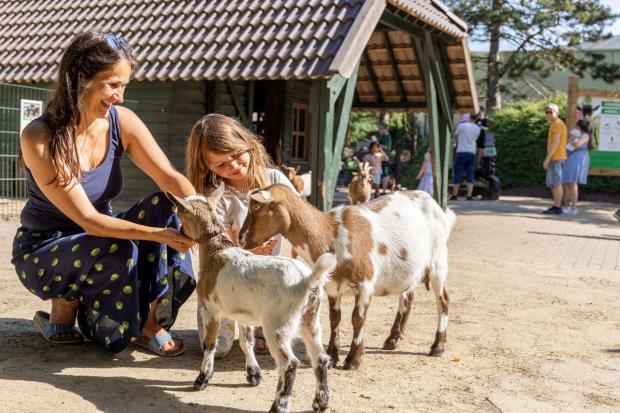 Kinderbauernhof im Park