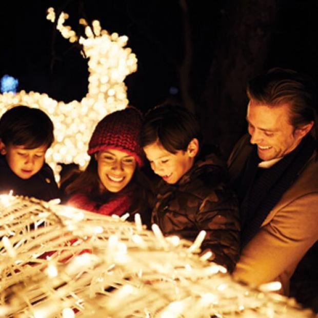 Christmas holidays