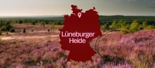 Découvrez Lüneburger Heide