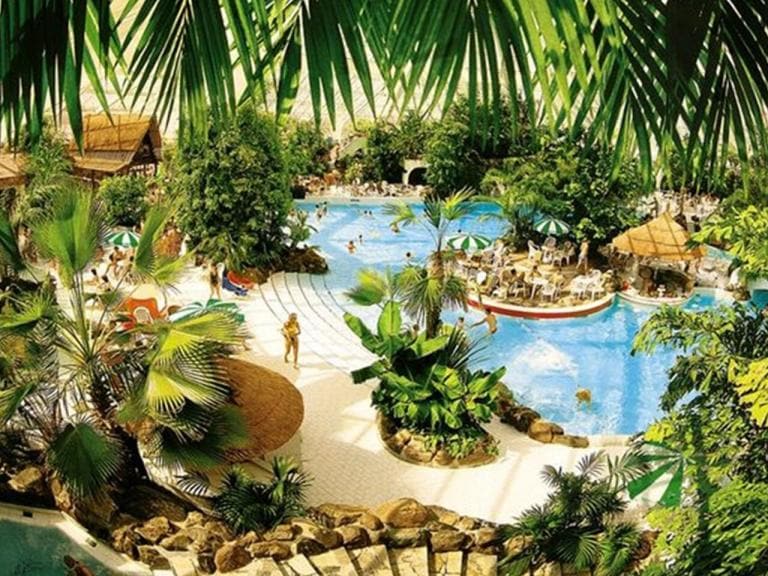 Découvrez l'histoire de Center parcs