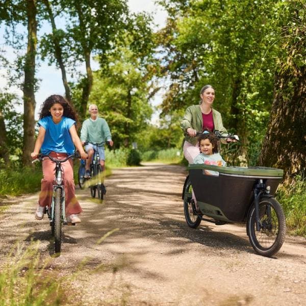 Maak een fietstocht in het bos, te huur op het park