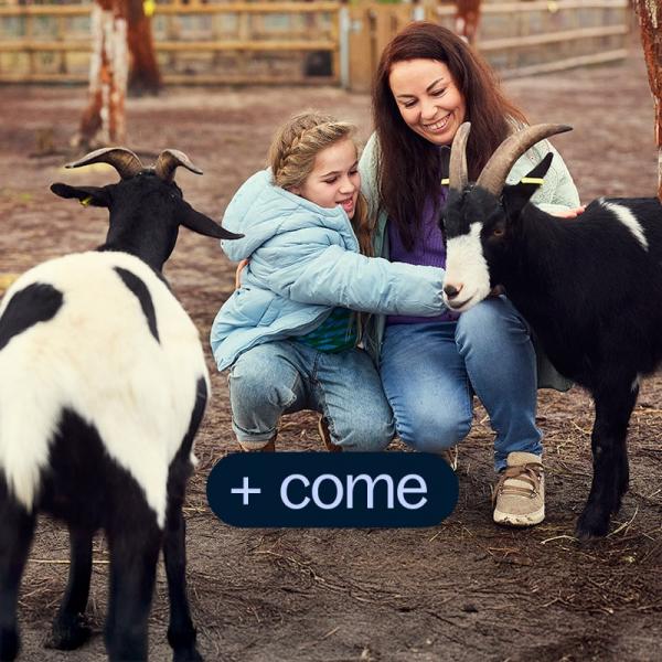 Come along and pet the animals at the children's farm