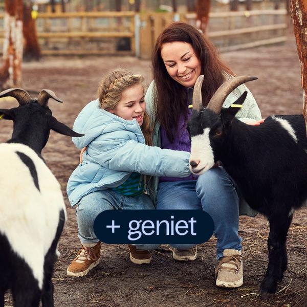 Geniet van het gezelschap van de dieren op de kinderboerderij