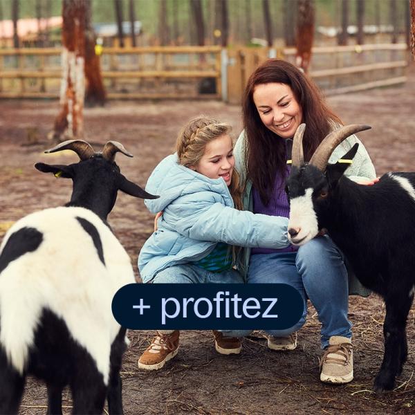 Profitez de la compagnie des animaux à la ferme pour enfants