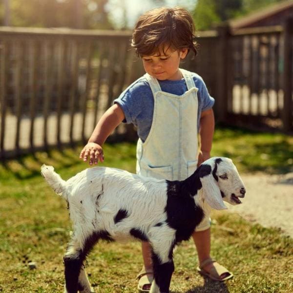 Children's farm