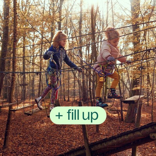 Fill up on vitality before hibernating