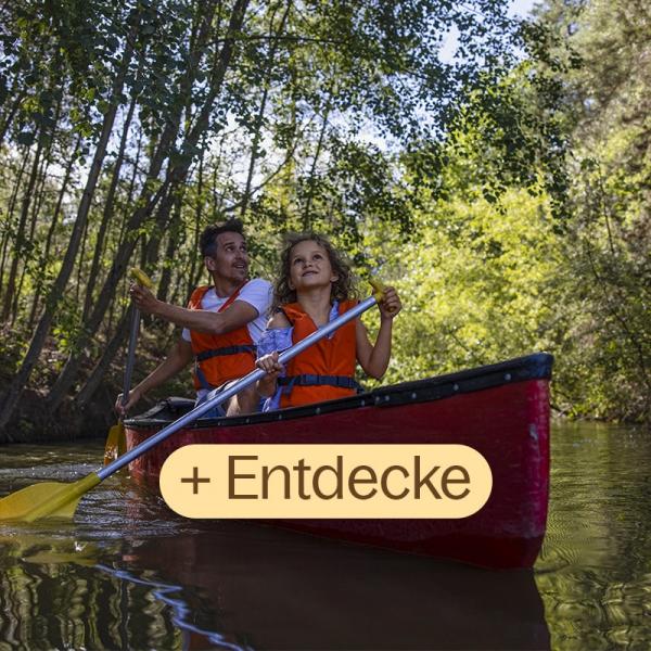Entdecke die Wassersportmöglichkeiten auf unseren Seen.