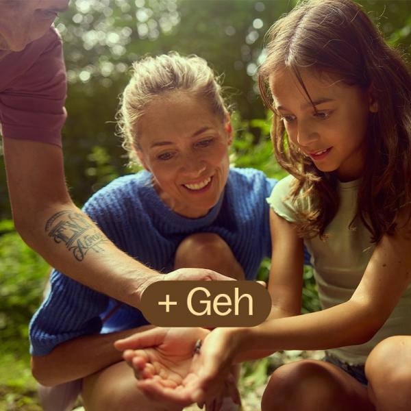 Geh nach draußen und folge dem Rhythmus der Natur.