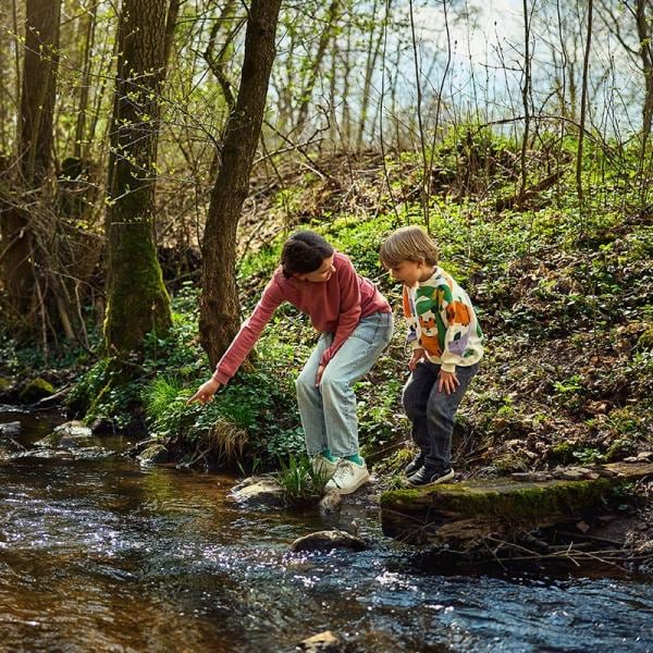 Découvrez de vastes forêts, quelle que soit la saison