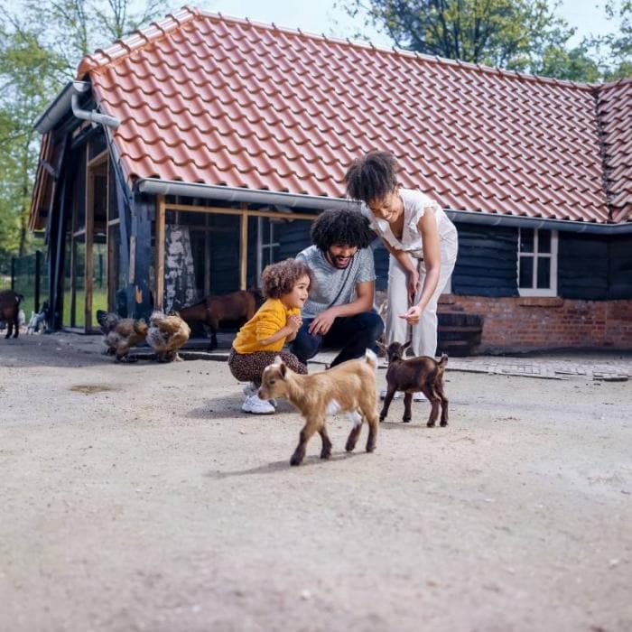 Breng een bezoek aan de kinderboerderij en vertroetel de dieren